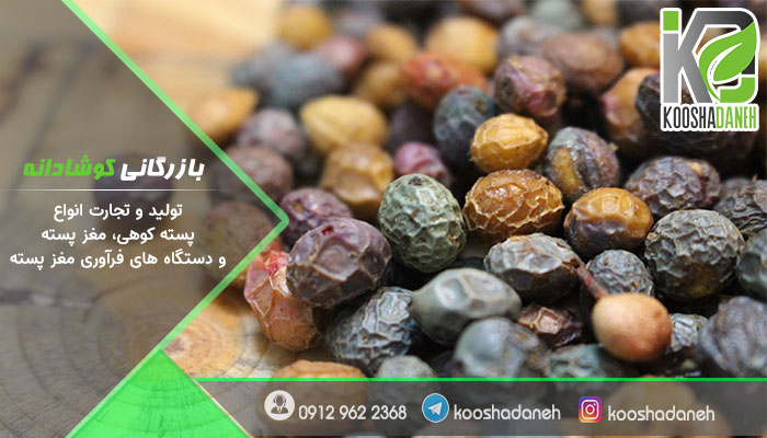 خرید پسته کوهی مرغوب