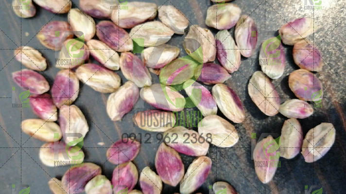 تولیدی مغز پسته خام
